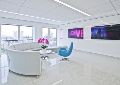 A+E Networks - Architect: Shlemmer Algaze Associates