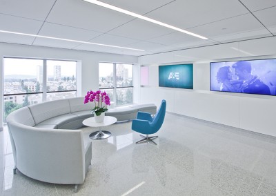 A+E Networks - Architect: Shlemmer Algaze Associates